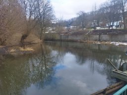 whatsapp image 2026-02-01 at 20.09.06